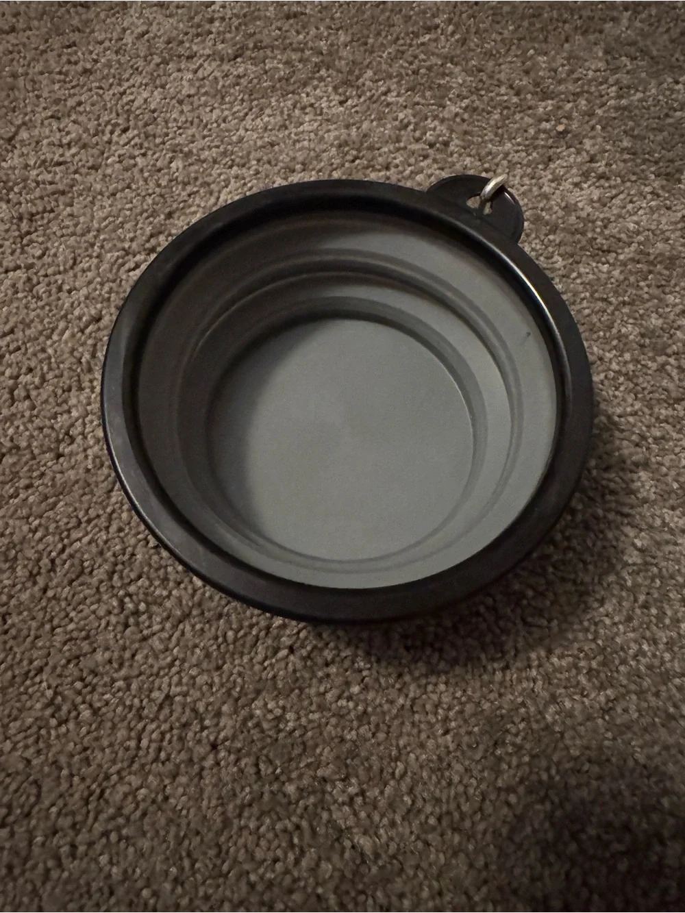 Collapsible Silicone Pet Bowl - Black/Gray